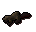 Beaver