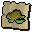 Raw sea turtle