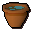 Apple seedling (w)