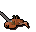 Pet Crab