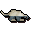 Pet Badger